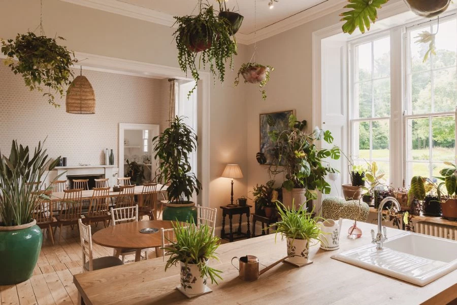 Carron Castle Kitchen Breakfast Room