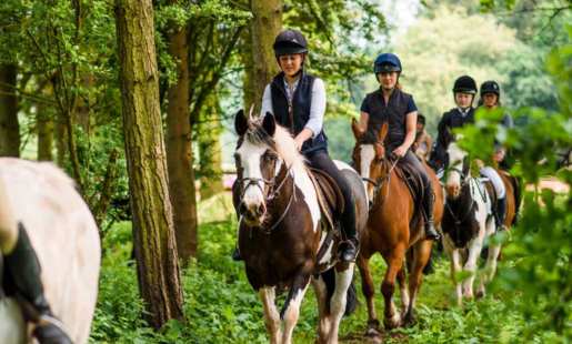 Noakes Farm Riding Centre