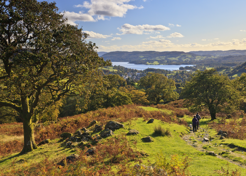 840 Dog Friendly Lake District