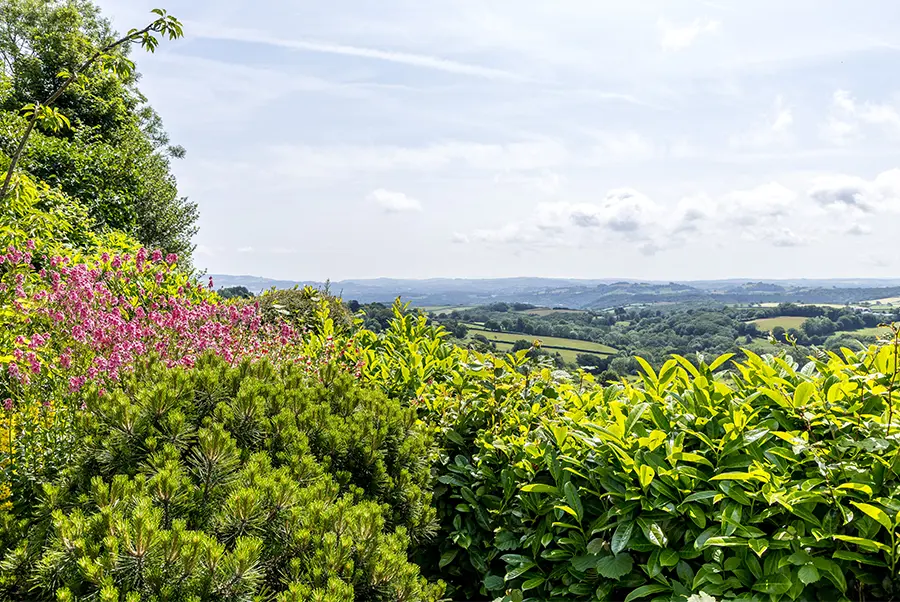 Dartmoor Wonderland Views 2