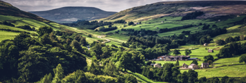 Yorkshire Newsletter