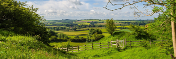 Lincolnshire Newsletter