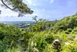 Dartmoor Wonderland Views 1