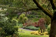 Castleburn House Gardens 9