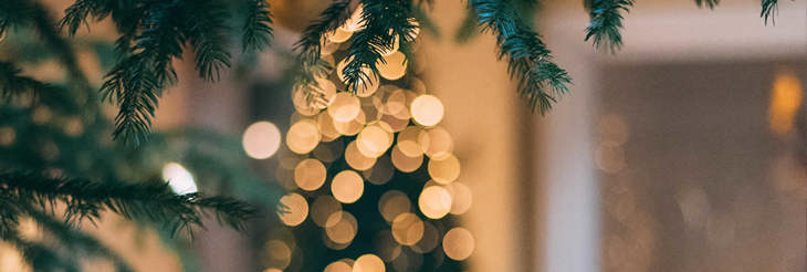 Christmas Hero