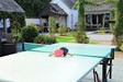 The Hacienda Table Tennis
