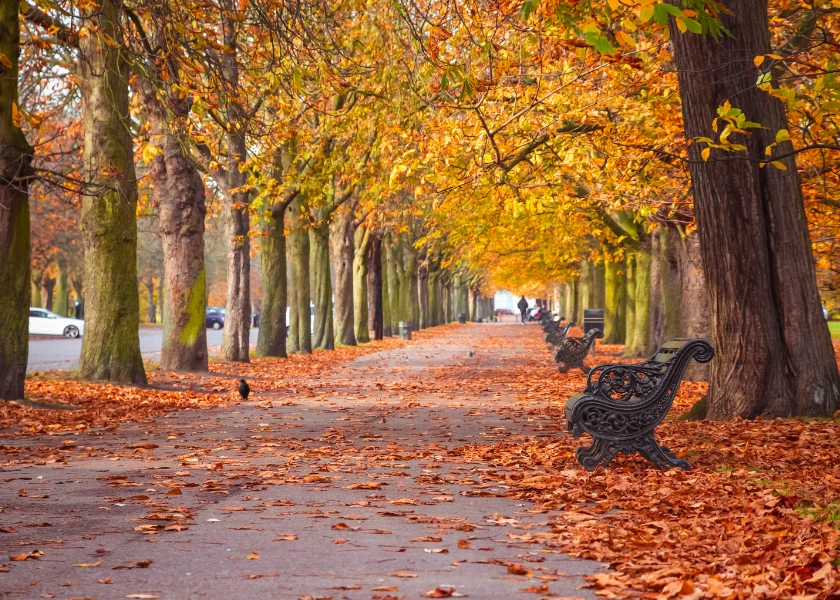 London In The Autumn