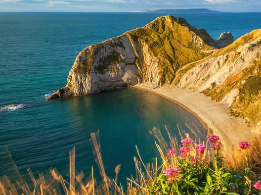 Dorset Listing Image