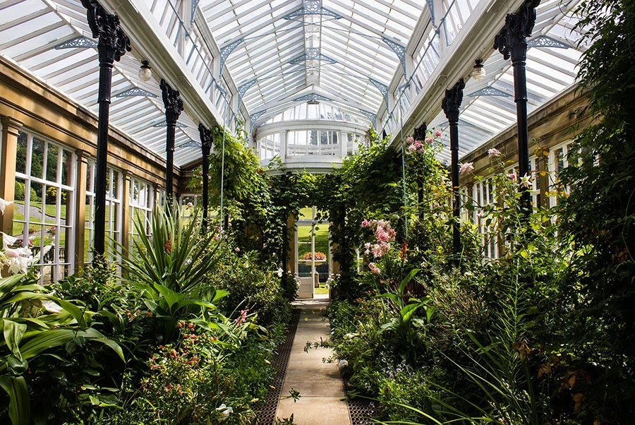 Tempest Hall Conservatory