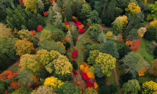 Westonbirt Arboretum