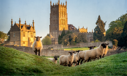 Private Cotswold Tours