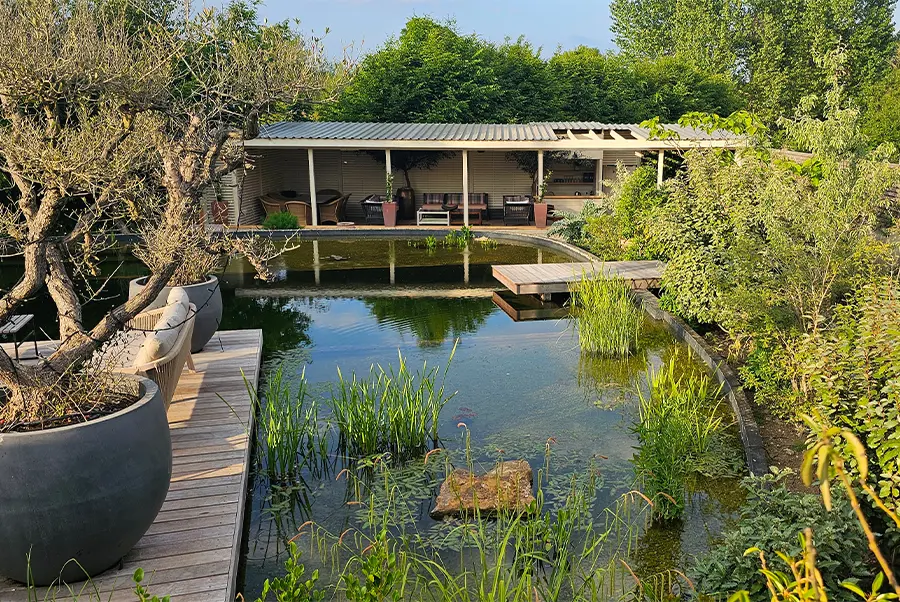Three Little Pigs Olive Grove 3