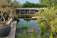 Three Little Pigs Olive Grove 3