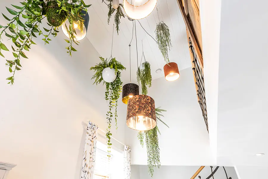 Three Little Pigs Bedroom Ceiling Plants