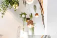 Three Little Pigs Bedroom Ceiling Plants
