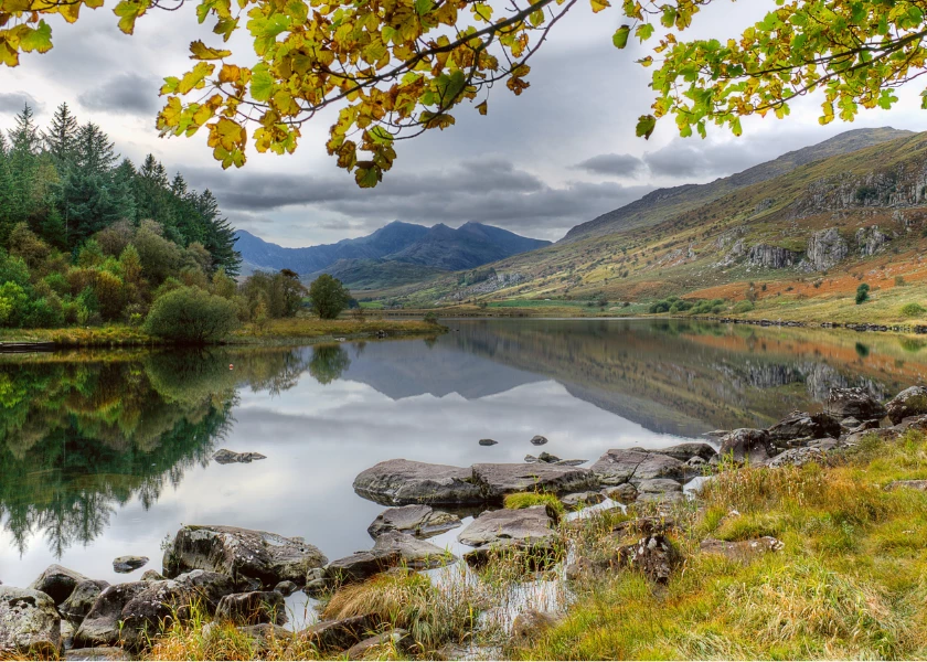 Snowdon