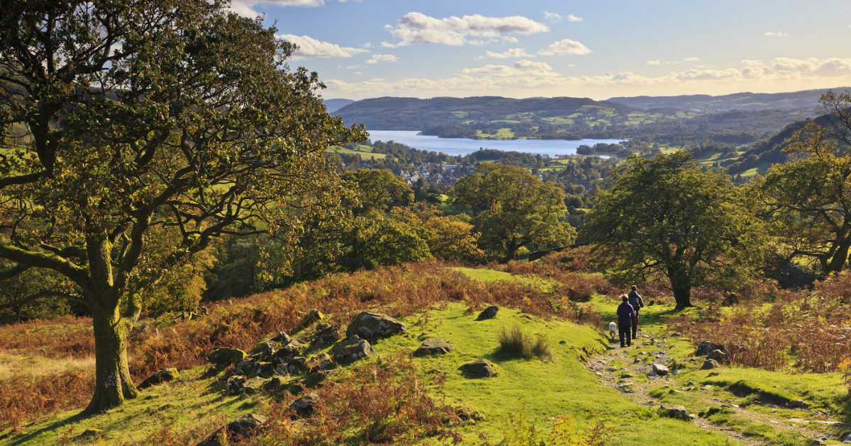 Six Of The Best DogFriendly Walks In The Lake District Big House