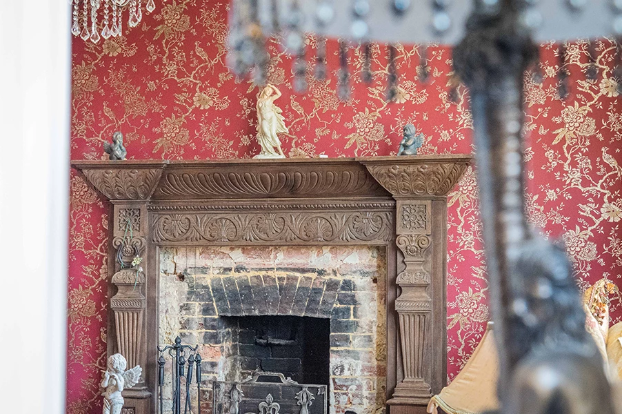 Araden Manor Sussex Fireplace Detail