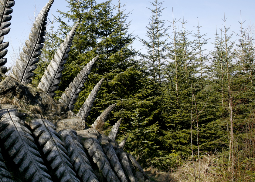 Tarn Trail, Grizedale Forest