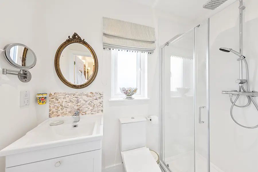 Sea Dragon Seahorse Bathroom