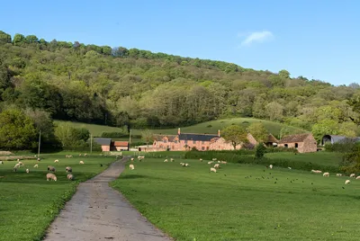 Greens Hill House Somerset 34 Copy