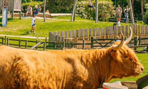 Cotswold Farm Park