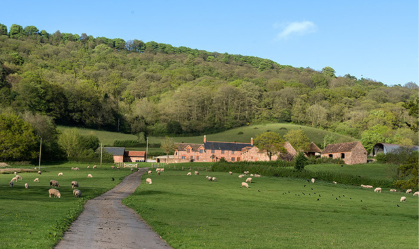 Green's Hill House With Views Of The Quantocks In Somerset