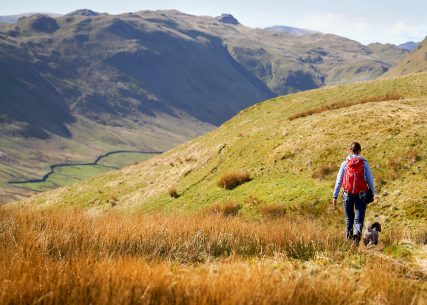 Dodd Summit, Skiddaw, Keswick