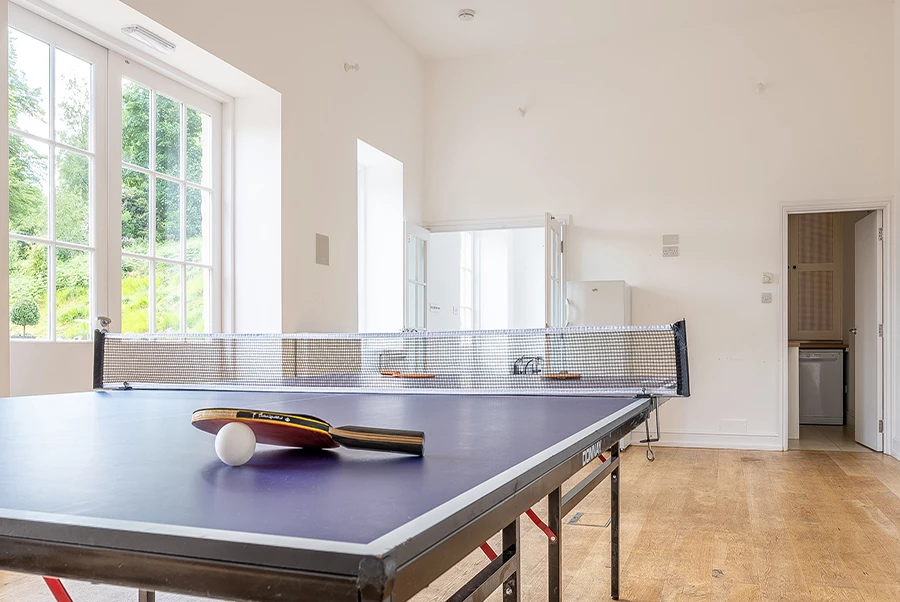 Mereview Manor Coach House Table Tennis