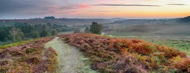 Big Houses To Hire South Coast