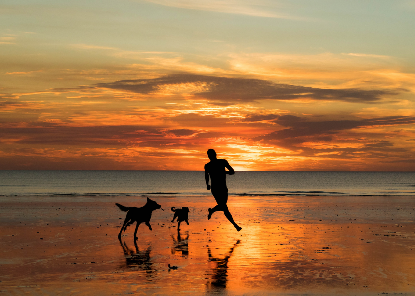 Dog Friendly Beaches In Norfolk