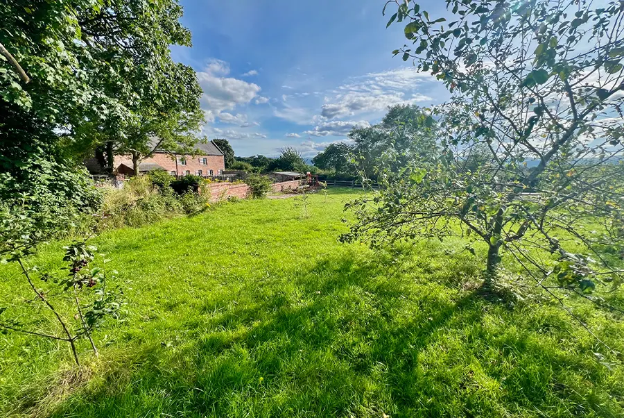 The Retreat Barn Paddock