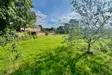 The Retreat Barn Paddock