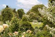 Ebrington Manor Tortoise Garden