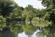 The Lake