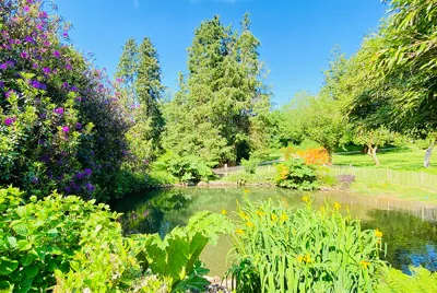 Parsonage House Swimming Pond