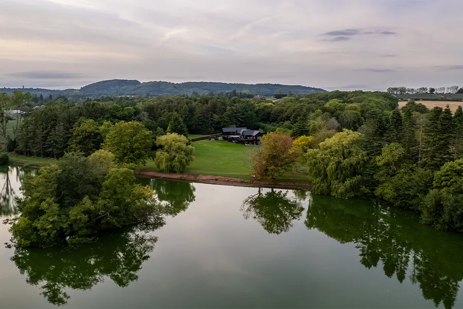Water's Edge Aerial View