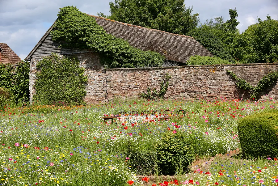 Garden Court Wildflower Garden