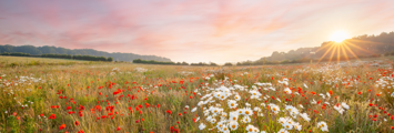 Newsletter BG Norfolk