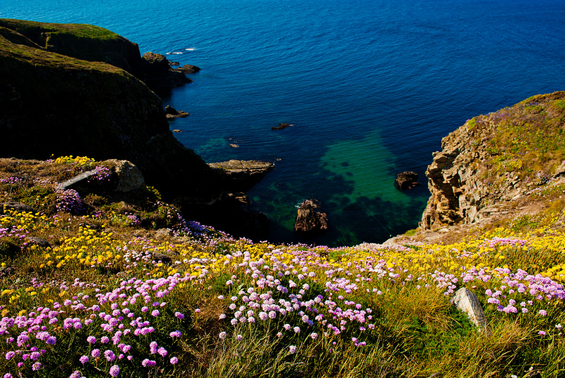 Ocean Bay House Cliff Walk