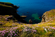 Ocean Bay House Cliff Walk