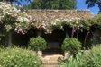 Ebrington Manor Rose Garden 1