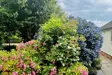 Thistlebrook Retreat Grounds 4