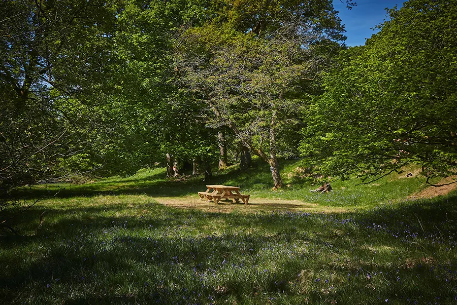 Hethersdale Picnic Table