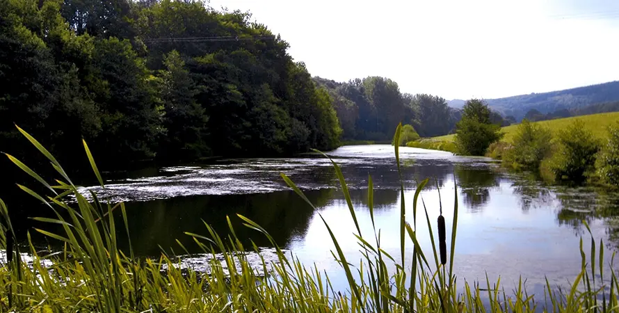 Blissfield House Lake