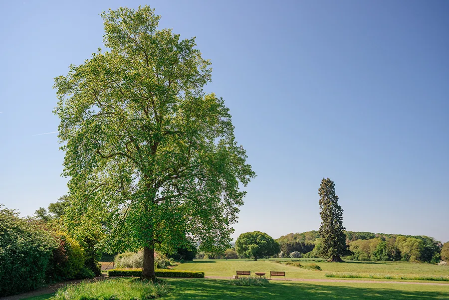 Garden Court Grounds